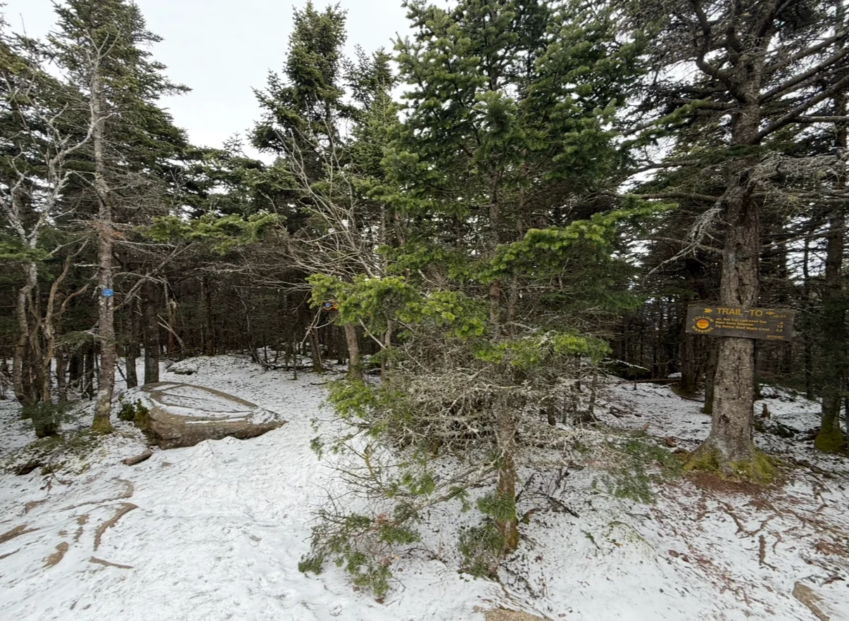 Blackhead Mountain